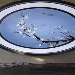 Chinese Artist False Ceilings