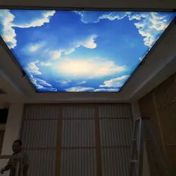 Interior decorative Sky Modern False 3d ceiling designs for living room