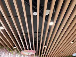 New Fashion False Design Hall Wall Panel Fireproof Veranda Wpc Ceiling