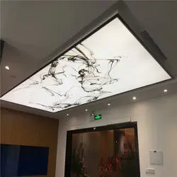 Chinese Artist False Ceilings